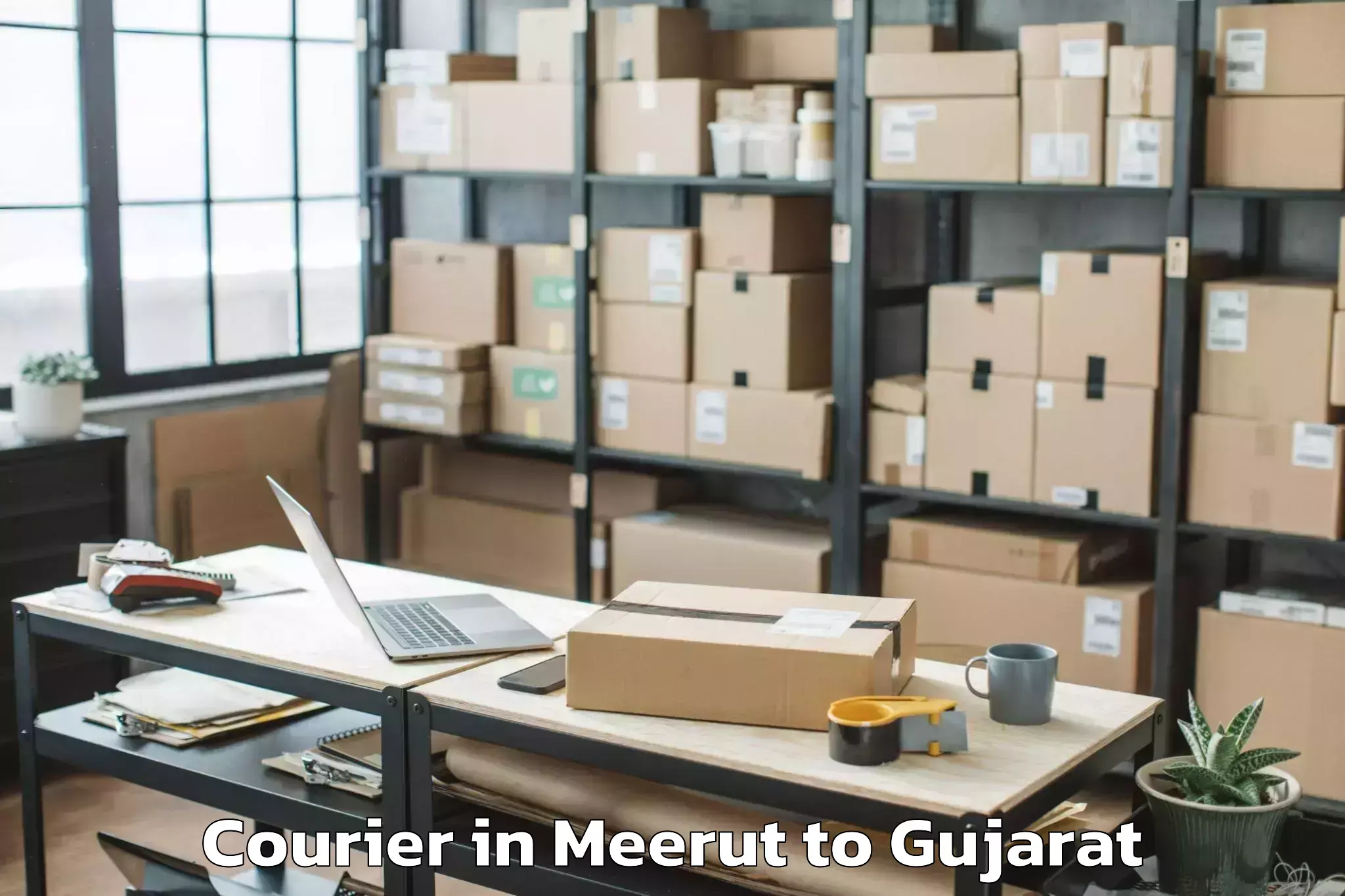 Quality Meerut to Vansada Courier